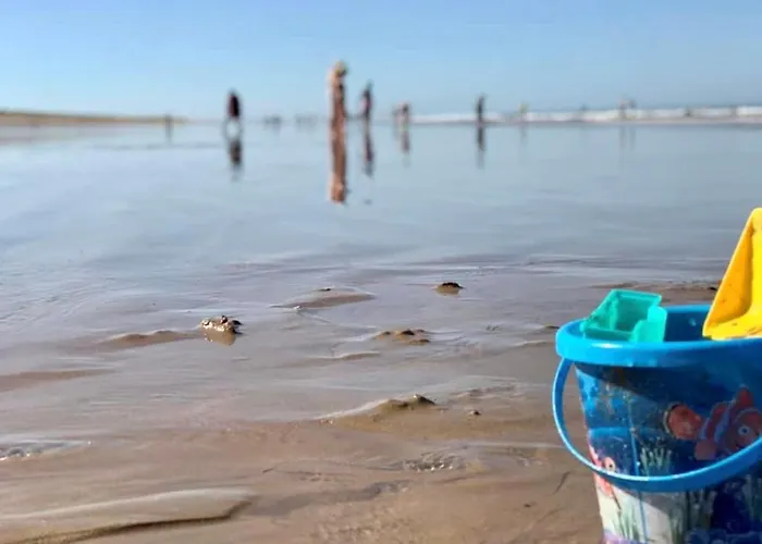 Maison T3 A 800 M De La Avec Piscine Chauffee, Tennis, Wi-fi, Patio Clos Et Parking Privatif - Fr-1-231-300 度假居 布雷蒂诺斯梅尔